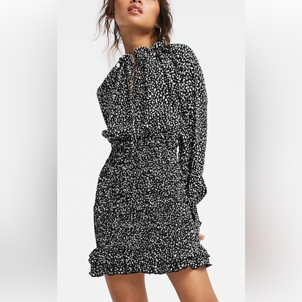 Shirred Skirt Mini Dress